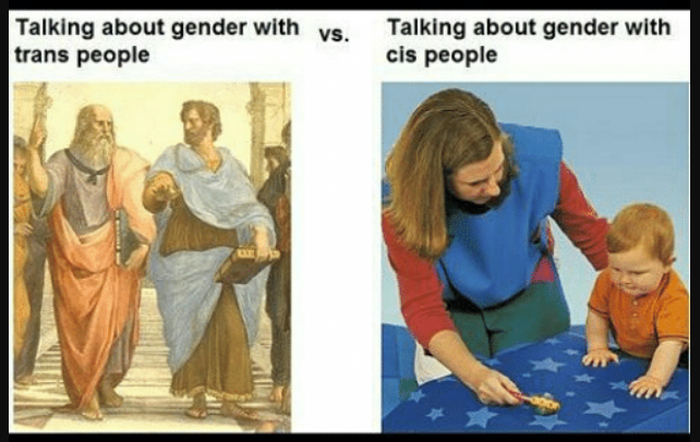 Talking about gender with trans vs cis people meme (whats the difference)