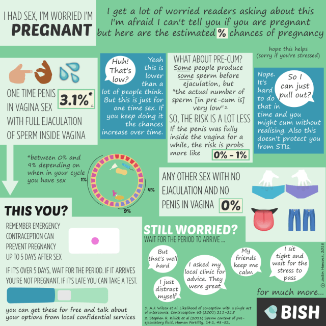 Pregnancy and Rubbing Genitals: Unpacking the Chances and Risks.