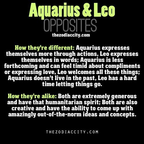 Why Is It Other Women Dont Care for Leo Women? Finding the Real Answers!
