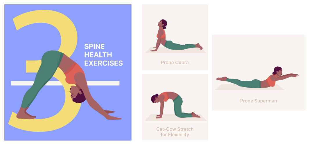 Prone Bone Exercises: Simple Moves for a Healthy Back