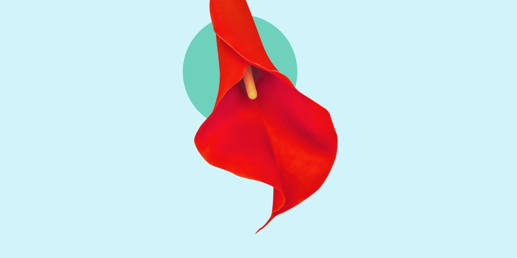 Cocks and Vaginas: Pictures and Simple Facts You Should Know, a Straightforward Overview