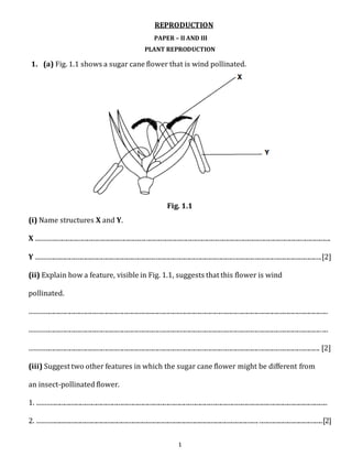 Reproduction for beginners: Questions to ask about reproduction to better understand it!
