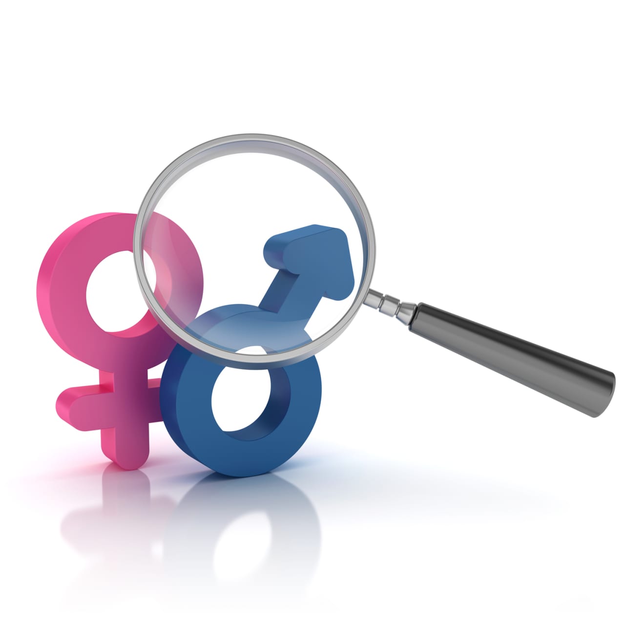 Understand Whats Ventures Biological Sex: A Simple Guide