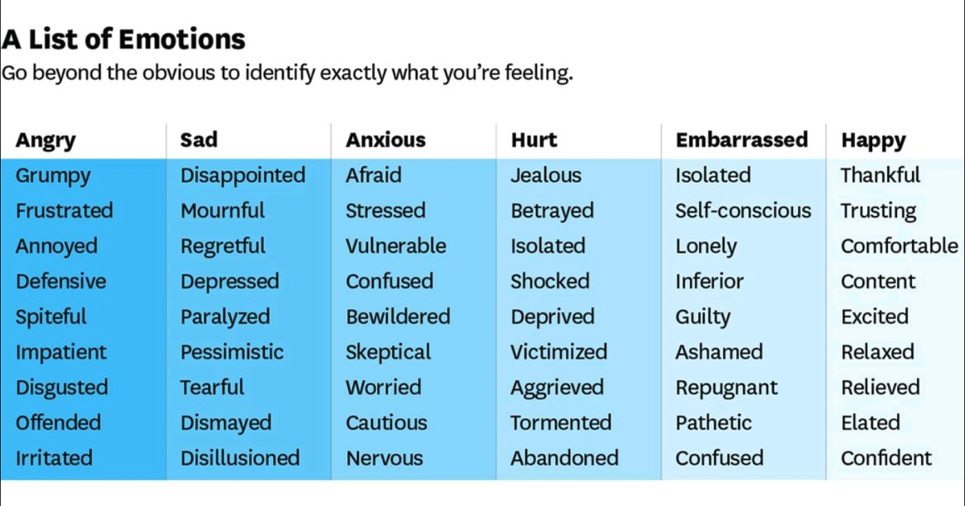 Meta-Emotion Explained: A Simple Guide to Understanding Your Emotions