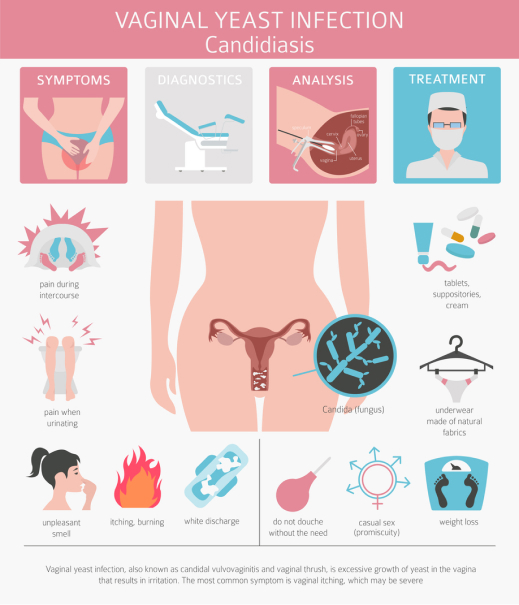 Vaginas and Boobies: Common Questions and Answers