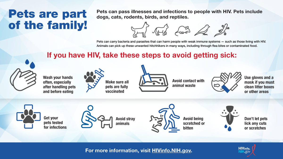 Can a Dog Have HIV? Get the Facts From Experts