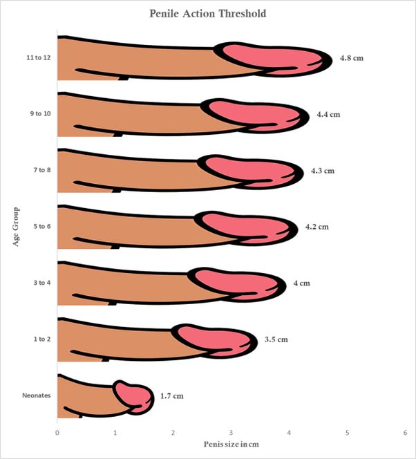 Is a 5 Inch Dick Enough to Satisfy a Woman? Find Out Now
