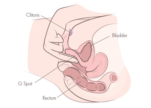 How to Masturbate: Easy Steps for Pleasure, Plus How to Find Your G-Spot