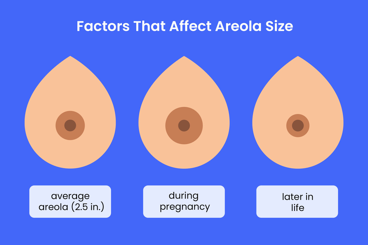 Big Boobs Nippel: Whats the Deal with Them?