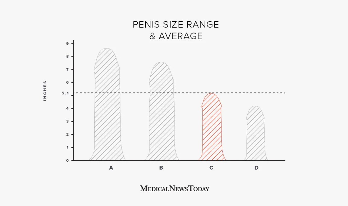 6 Inch Cock Size: What to Expect (Your Questions Answered)