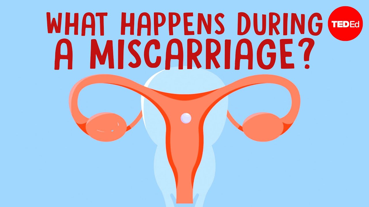Understanding What Happens to Baby Body After Abortion in Simple Words