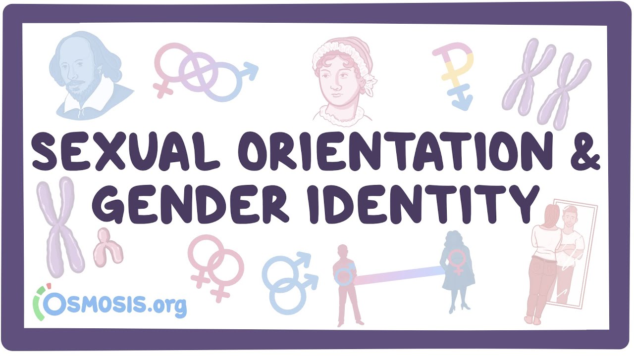 Sexual Orientation vs Gender: Know the Difference! (Easy-to-Understand Guide for Everyone)