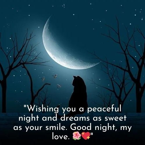 Best Beautiful Good Night Pics: Make Your Loved Ones Smile