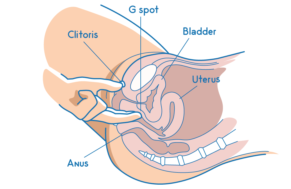 How to Squirt for Beginners: The Ultimate Guide, Simple Steps to Achieve Powerful Squirting for Maximum Pleasure.