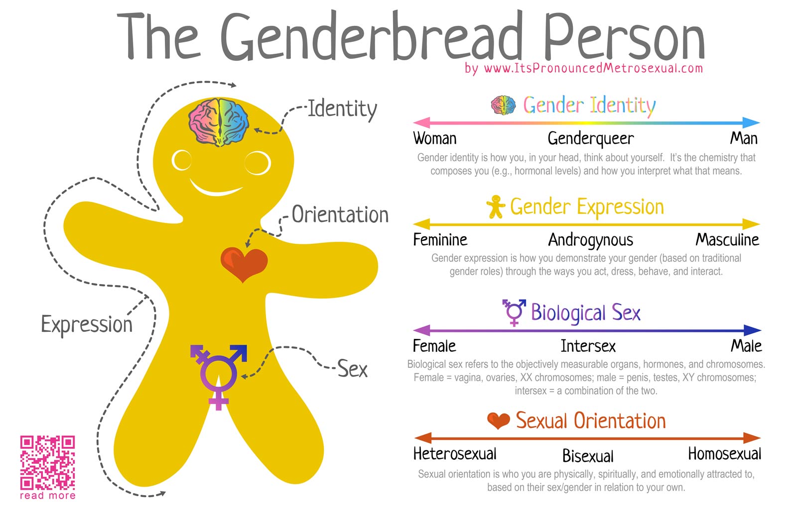 Difference Between Sexual Orientation and Gender: Key Distinctions Explained