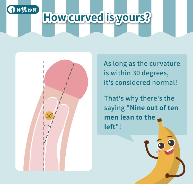 Does the curve of your penis depend on personal habits? Easy guide to understand!
