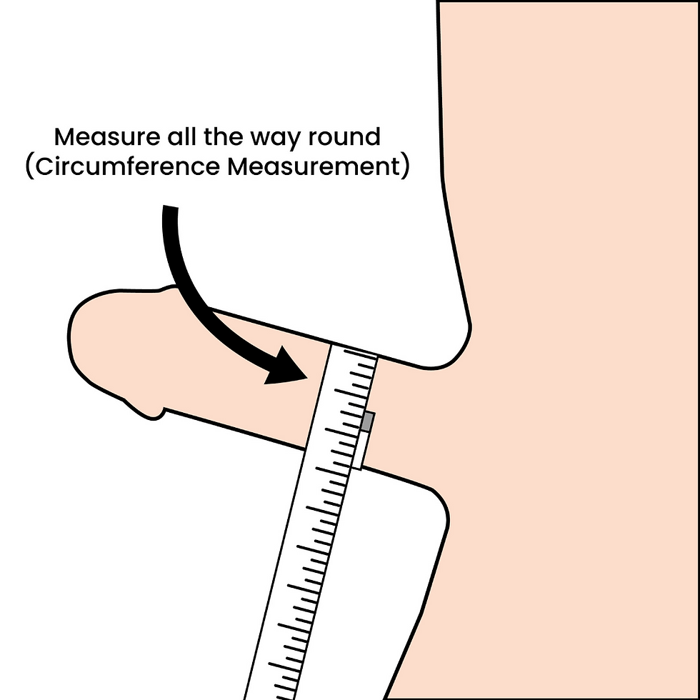 How to Measure Penis Without Mistakes? Follow These Easy Instructions!