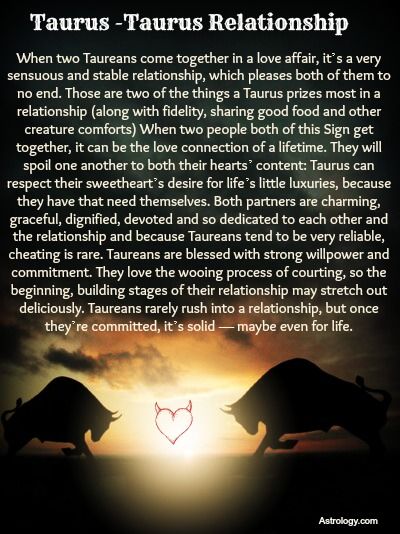 Taurus Woman and Taurus Woman: Are Two Bulls in Love a Recipe for Disaster?