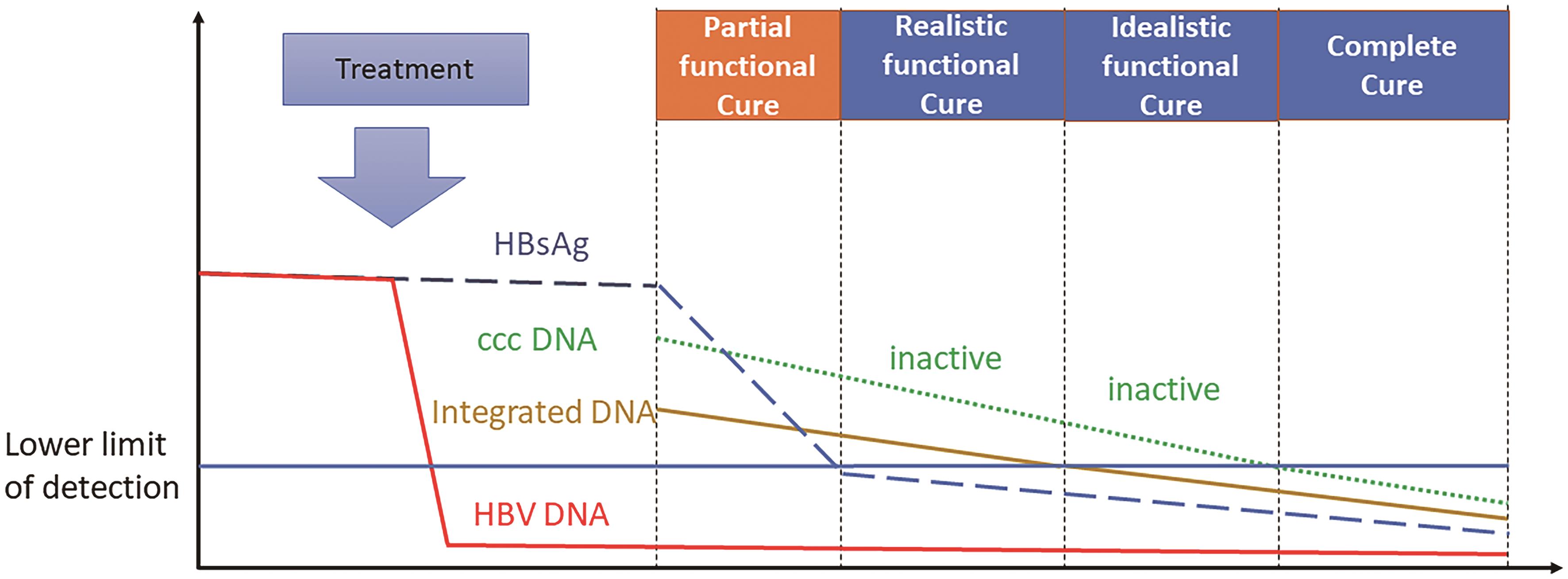 How high is the hbv cure rate? Lets look at the numbers.