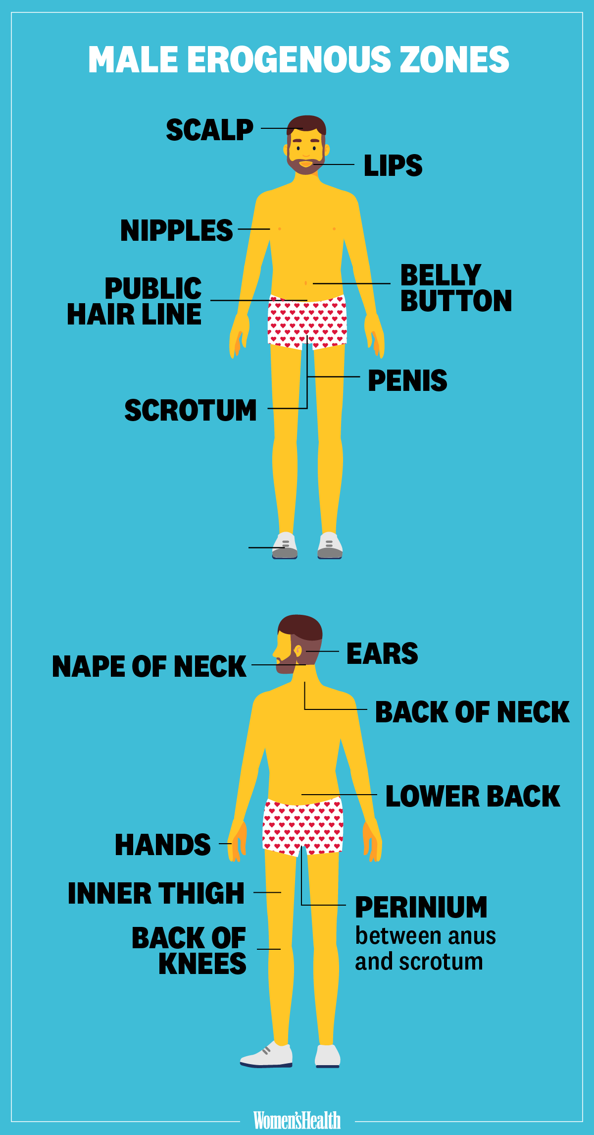 Erogenous zones for a man to explore, uncover the secrets to pleasure with these tips!
