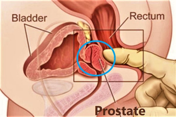 What Does a Prostate Orgasm Feel Like for Men? Find Out Here