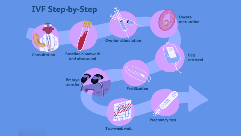 Getting Started with Envitro: Your Quick and Easy Guide to Using Envitro