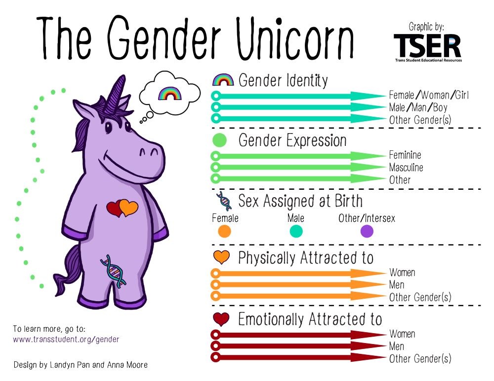 Difference Between Sexual Orientation and Gender: Key Distinctions Explained
