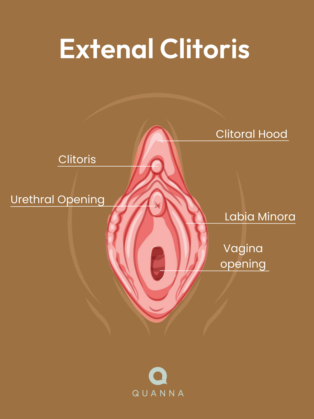 Want to Learn How to Make Yourself Squirt? Try These Steps