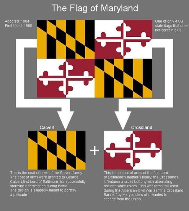 md flag guide: Learn how to use it now!