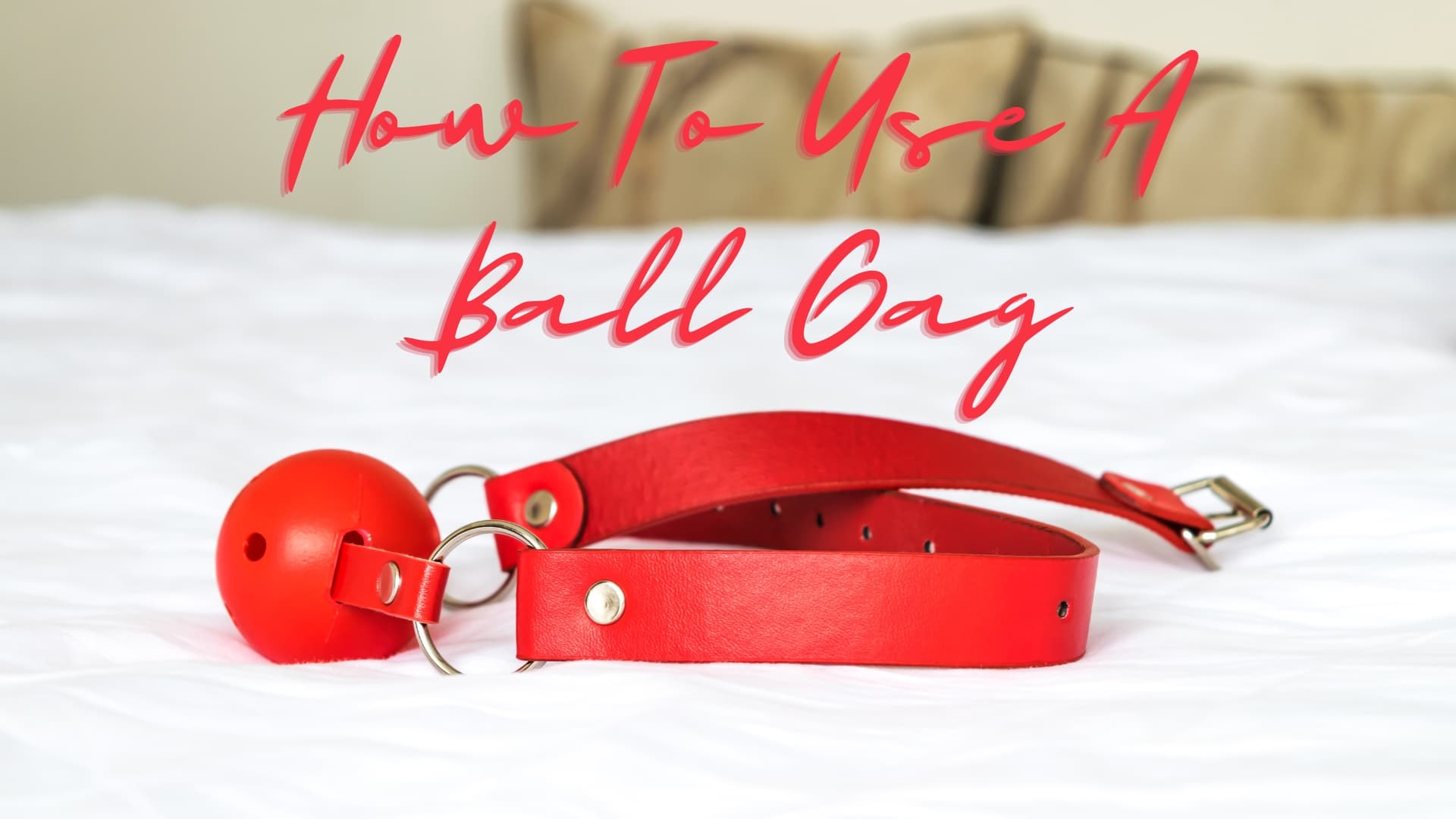Using a Ball Gag for Beginners, Everything You Need to Know to Get Started Today