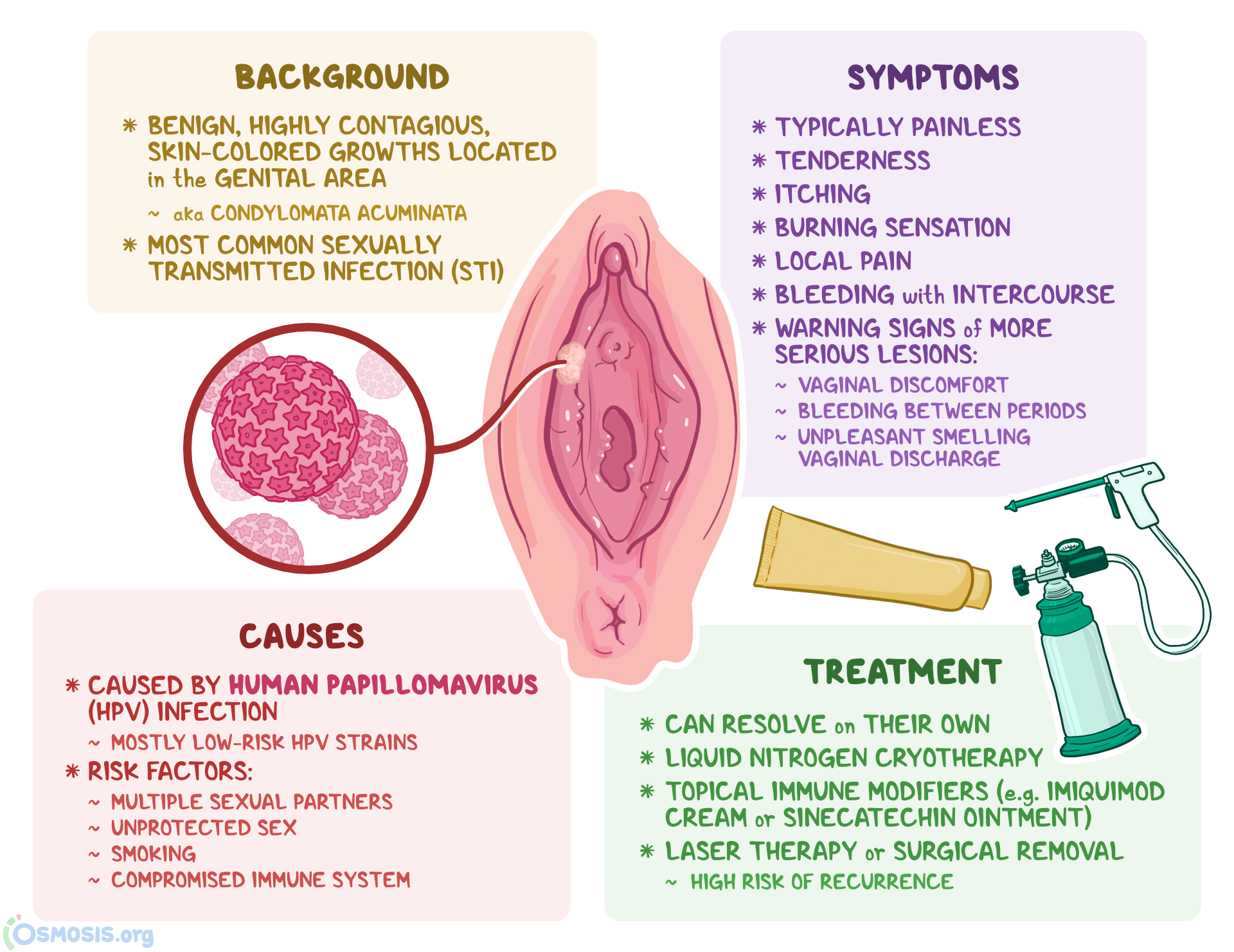 What Causes Genital Warts? Simple Tips to Protect Yourself and Partner