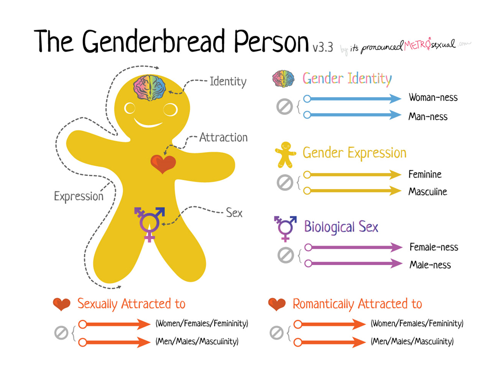 Understanding female female male sex: Learn the basics about this type of sex