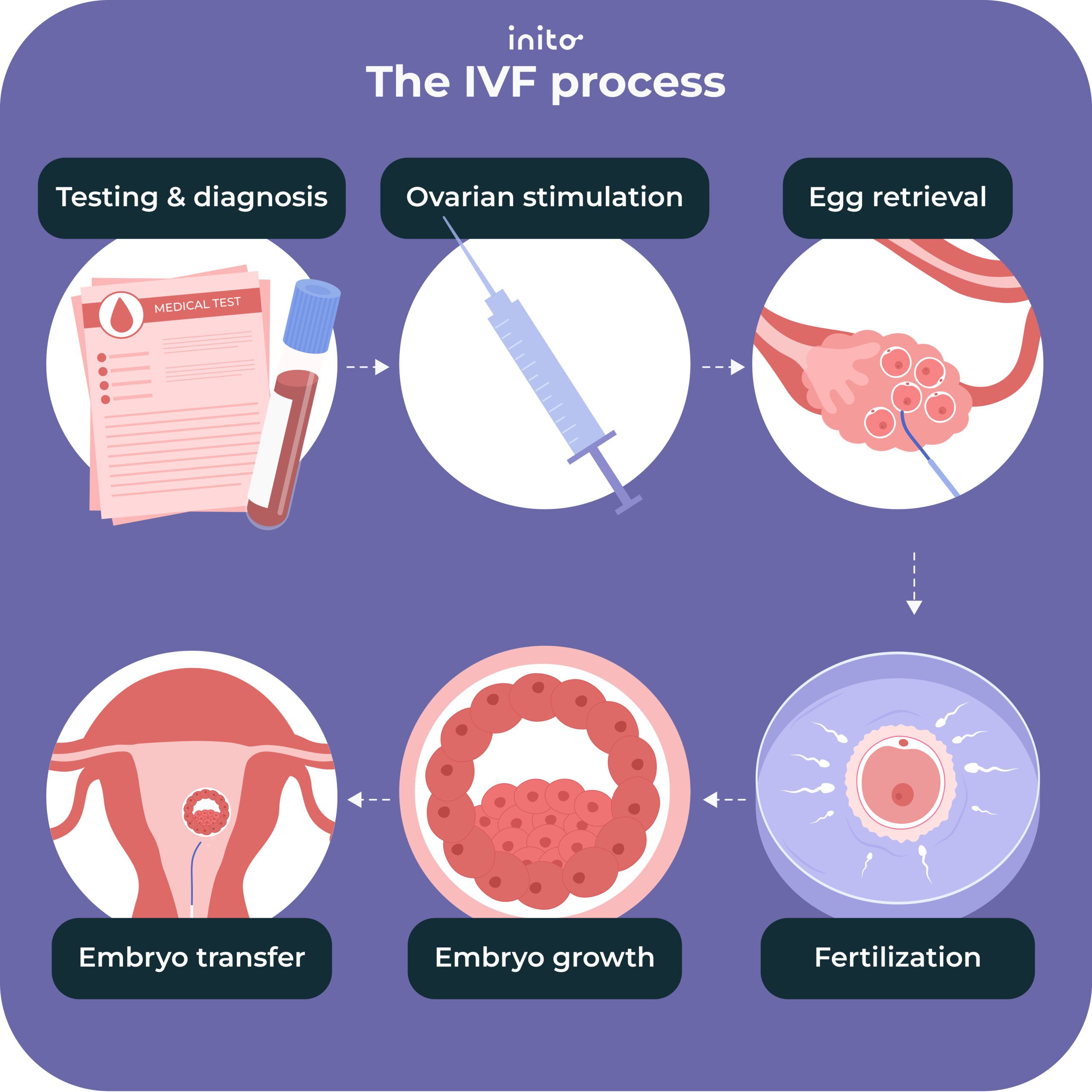 Getting Started with Envitro: Your Quick and Easy Guide to Using Envitro