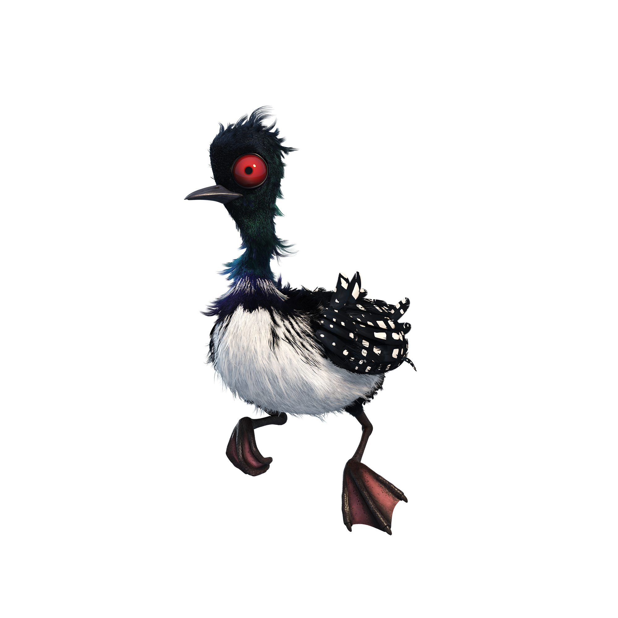 Becky Finding Dory: Want to Know About Becky? Heres the Scoop