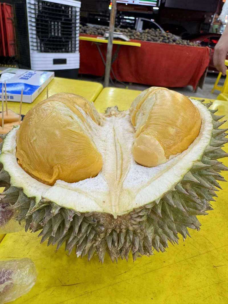 Durian Lollobrigida Taste: What to Expect From This Exotic Fruit Variety?