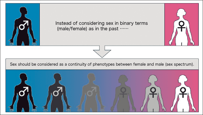 Understanding female female male sex: Learn the basics about this type of sex