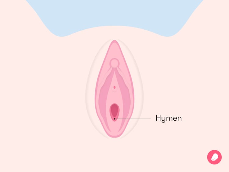 See Images of the Hymen: Understanding Your Body in Simple Terms.