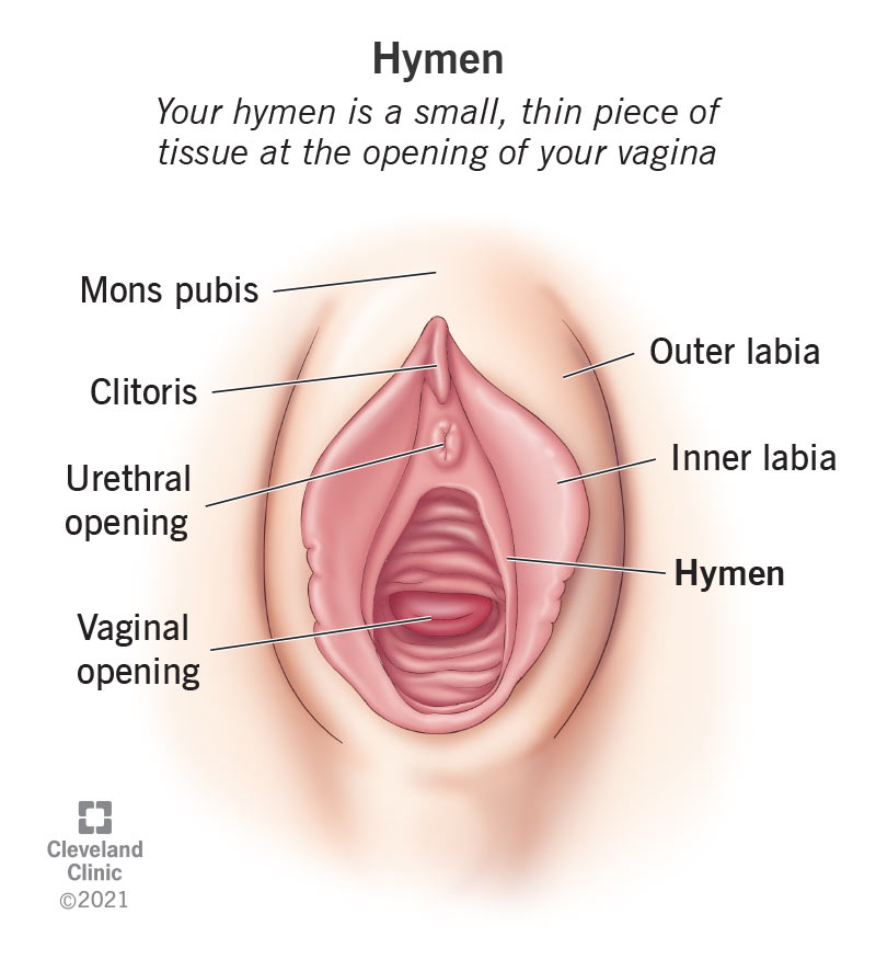 See Images of the Hymen: Understanding Your Body in Simple Terms.