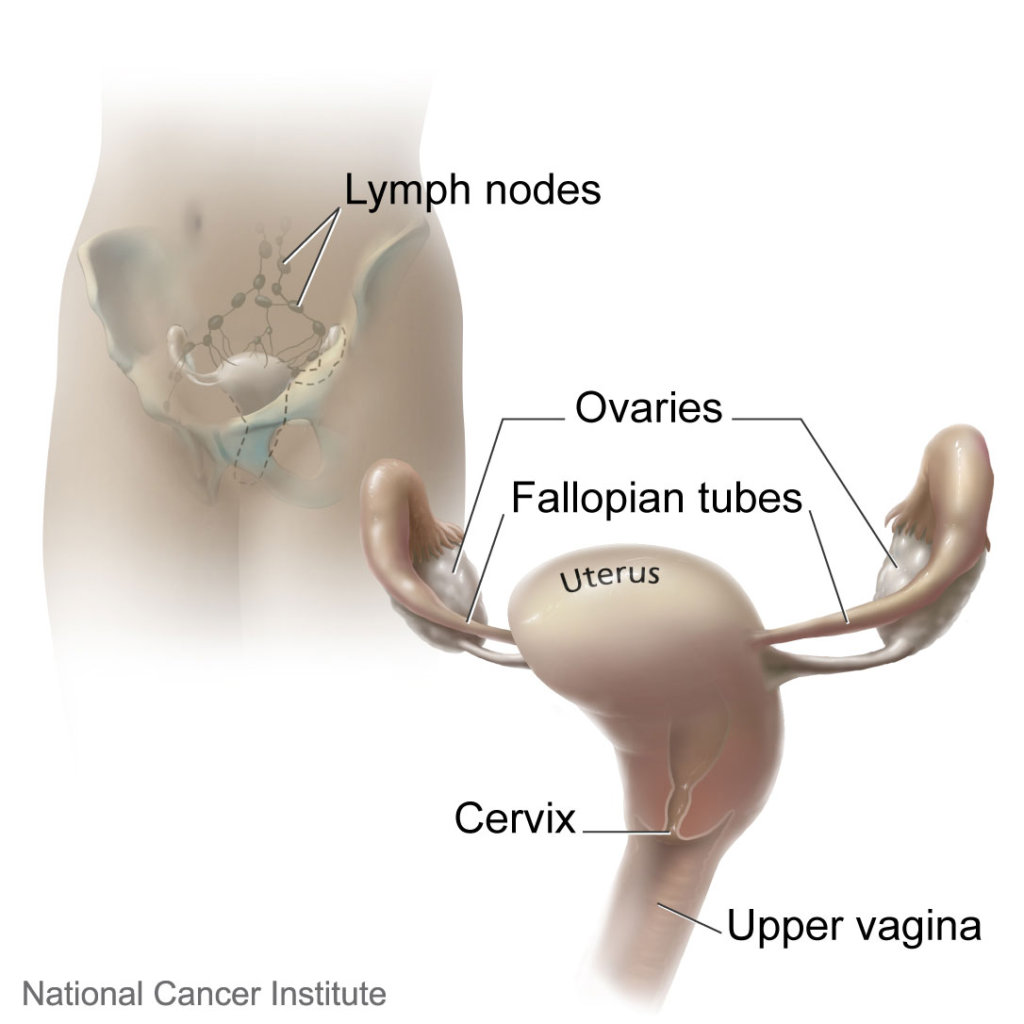 Can you bathe after a colposcopy biopsy? Dos and donts for healing.