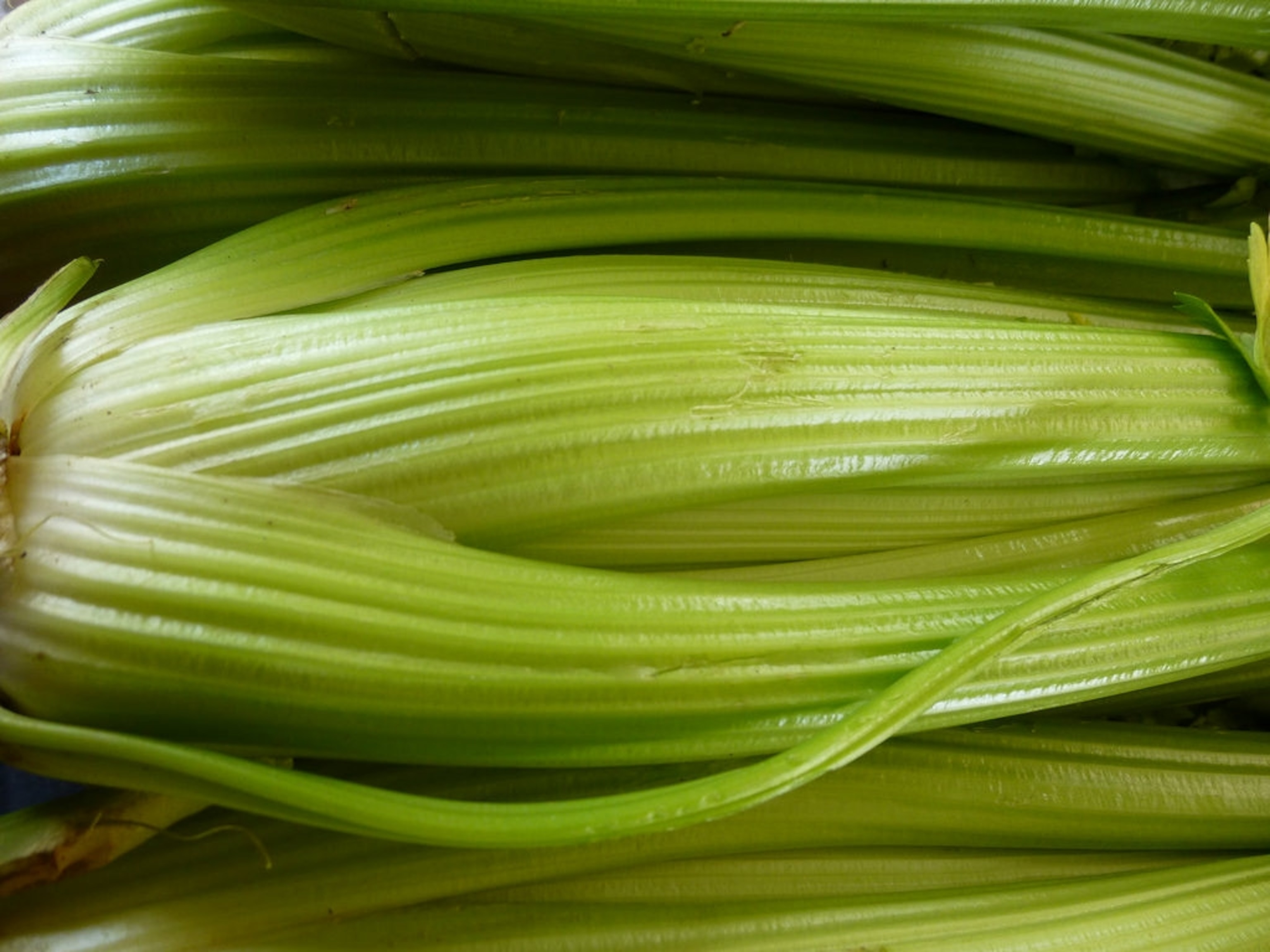 Improve Ejaculation with Celery? How to use for result.
