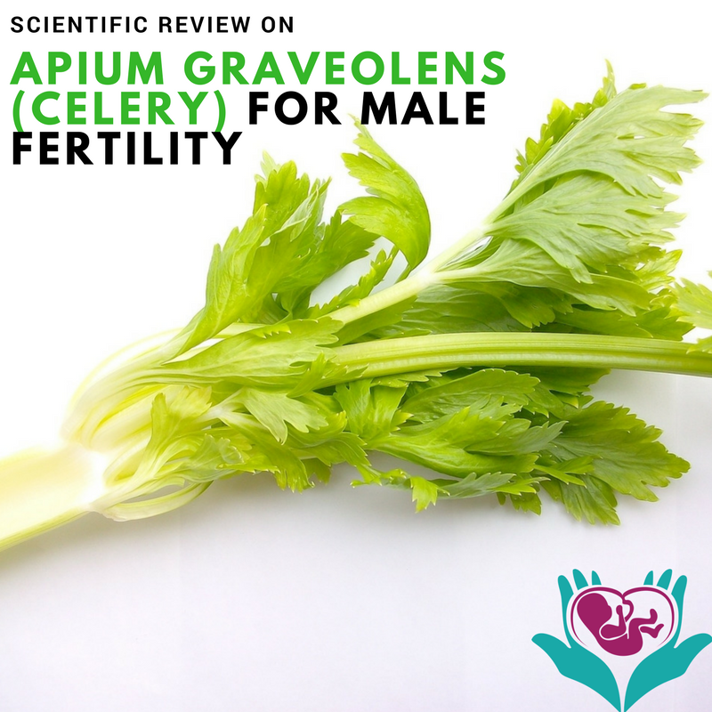 Improve Ejaculation with Celery? How to use for result.