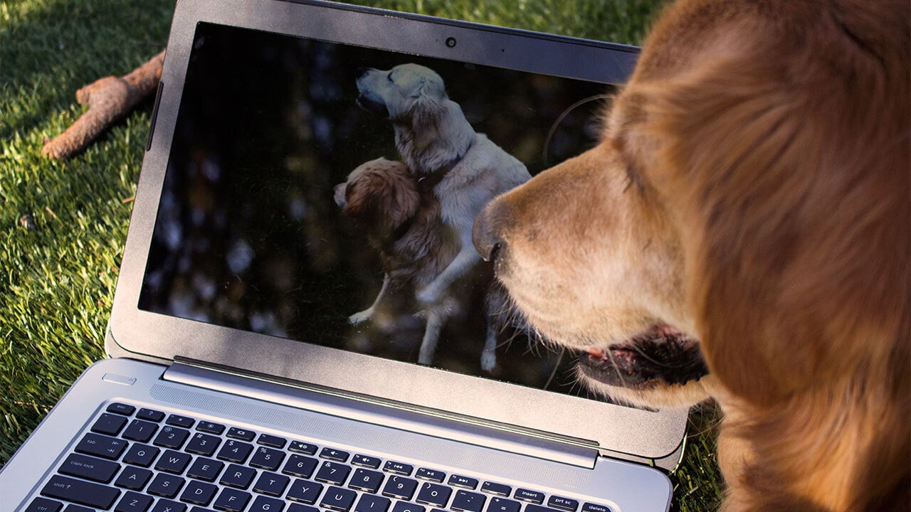 How can you be sure its a safe adult site? Use these simple methods before you click anything.