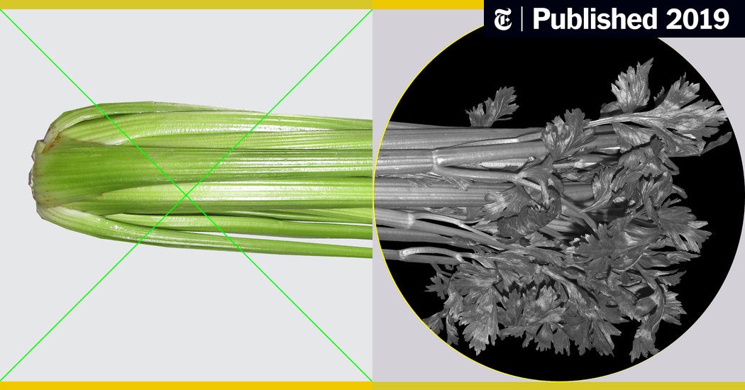 Does Celery Affect Ejaculation? We Explore the Connection and What it Means for You.