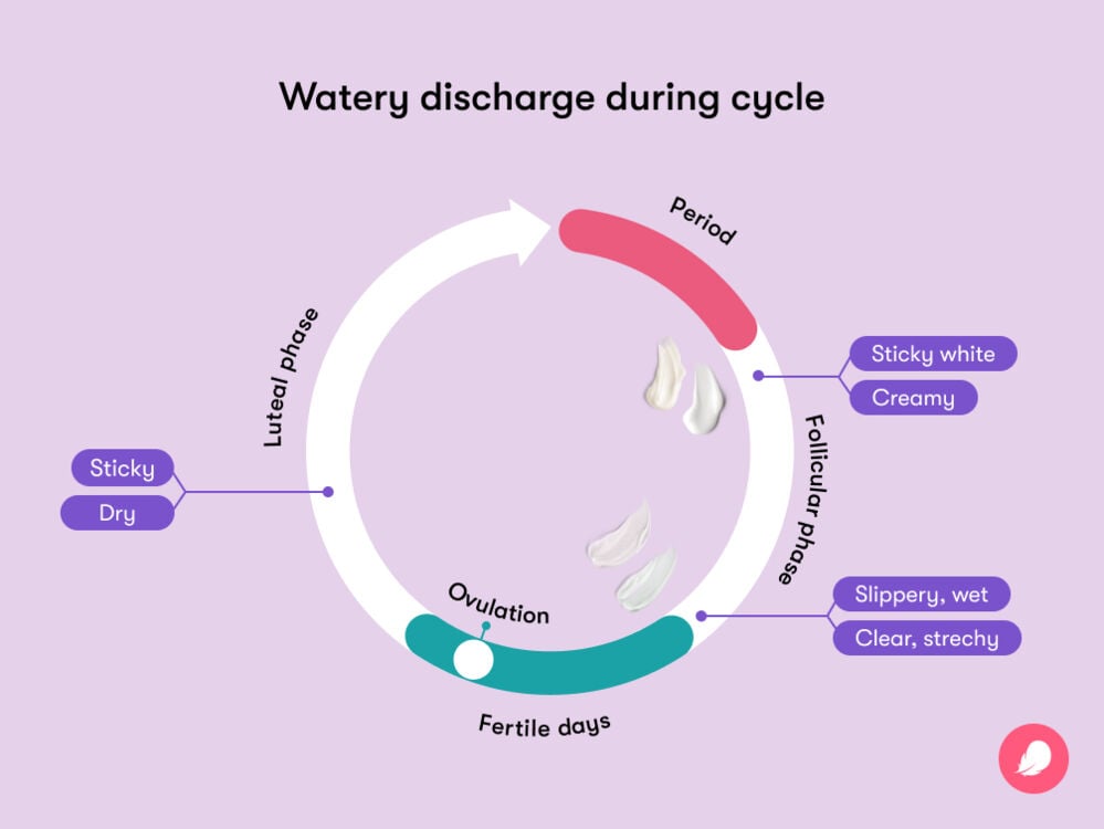 Why Am I Having So Much Clear, Watery Discharge? (Causes and What It Means)