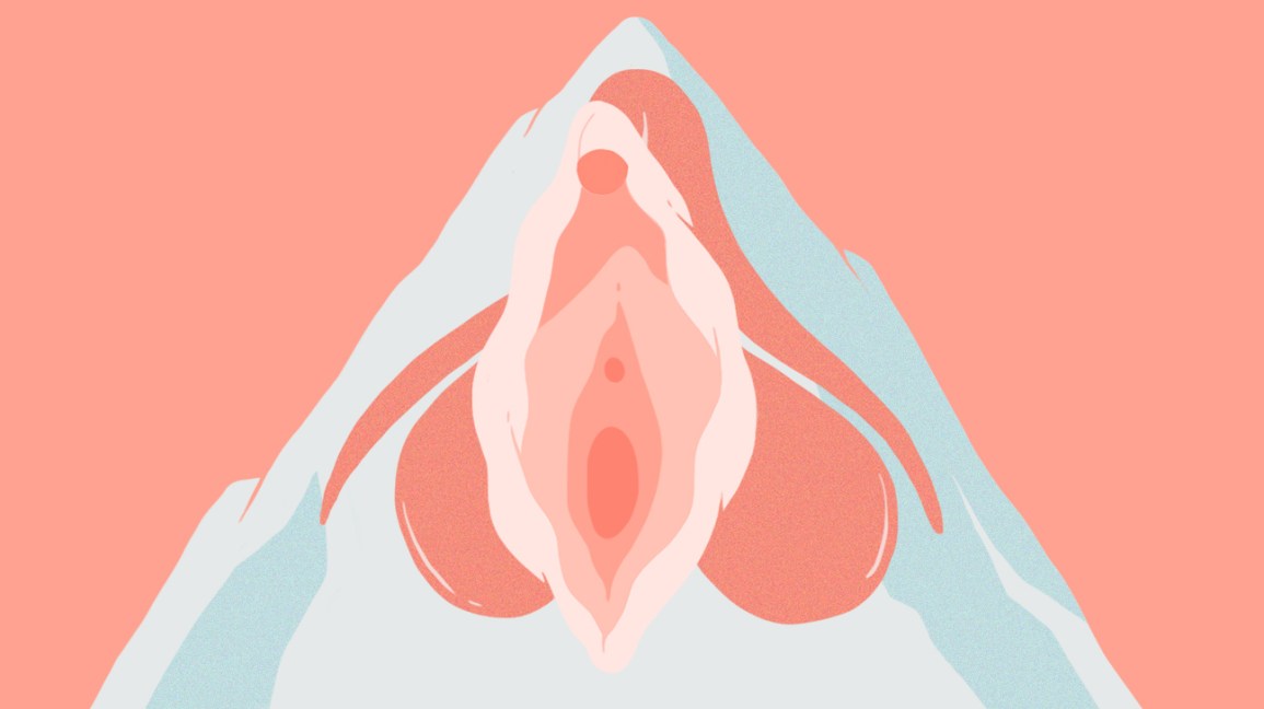 Cocks and Vaginas:Pictures, Facts,The Dirty Truth.
