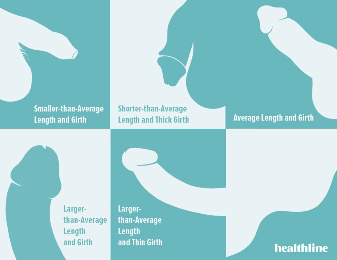 What is Considered a Thick Dick? The Real Talk Answer!