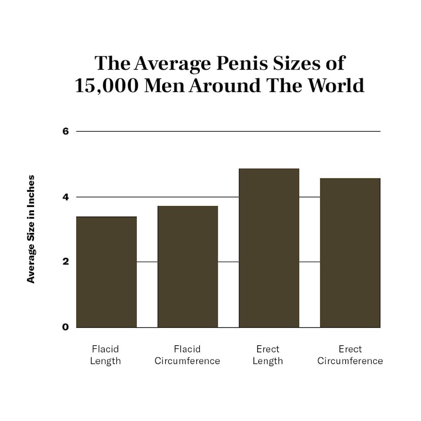 Five Inch Penis Size: Is It Really a Big Deal?