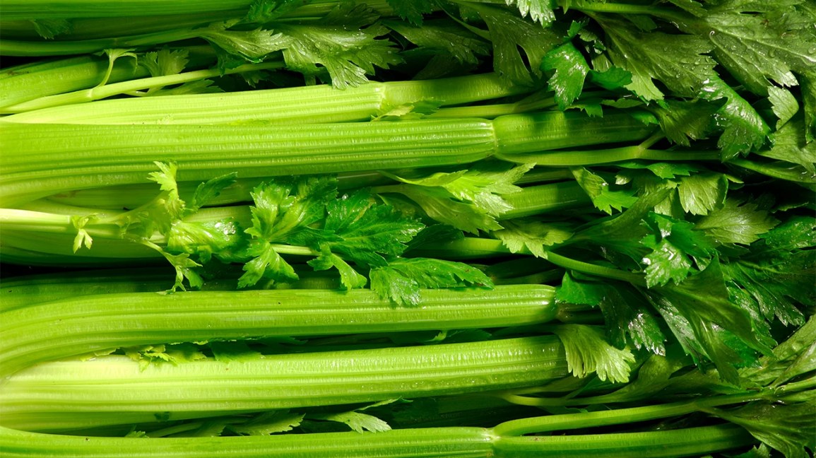 Does Celery Affect Ejaculation? We Explore the Connection and What it Means for You.