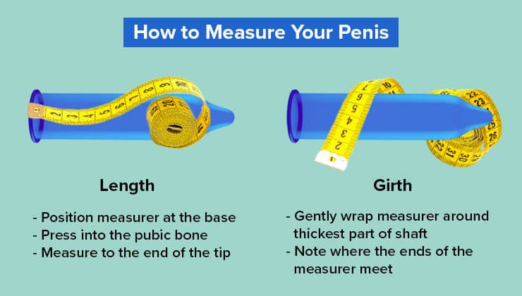 What is girth penis measurement explained? Understand how doctors check penis thickness simply.