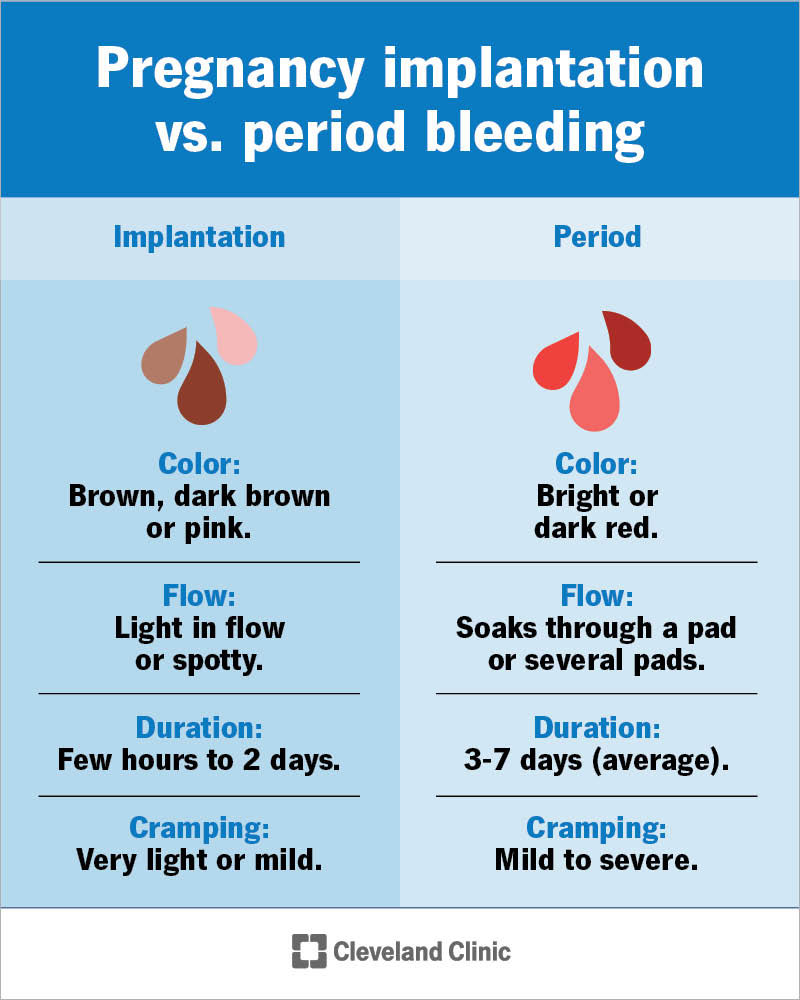 Got sangrado de implantacion? (Simple Guide to Implantation Bleeding)